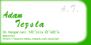 adam tezsla business card